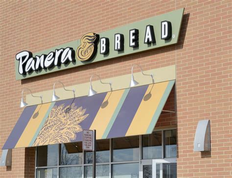 jimmy choo buys panera